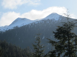Img_1982-medium